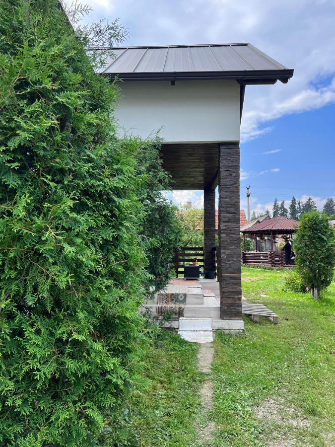 Гостьовий будинок Casa Helen Insurance&Tourism Galautas Екстер'єр фото