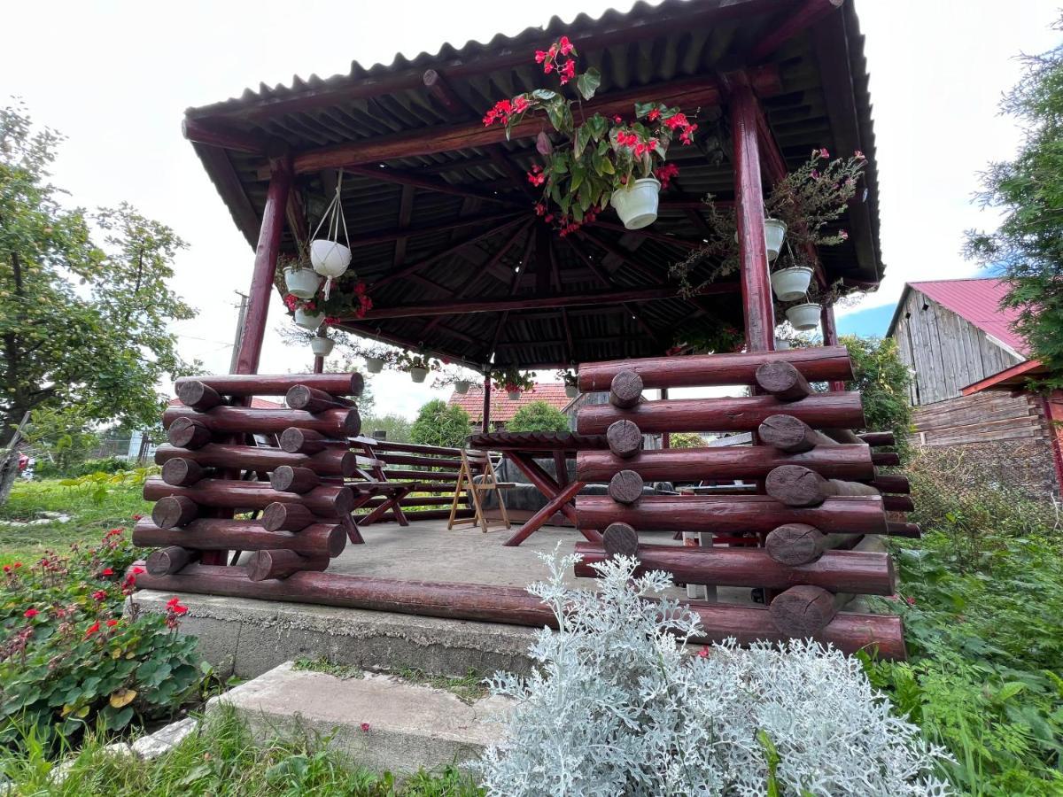 Гостьовий будинок Casa Helen Insurance&Tourism Galautas Екстер'єр фото
