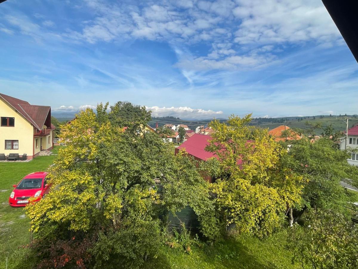 Гостьовий будинок Casa Helen Insurance&Tourism Galautas Екстер'єр фото